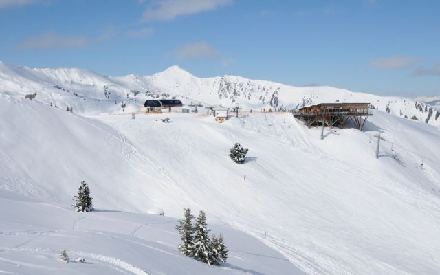 Riesneralm Schladming Dachstein