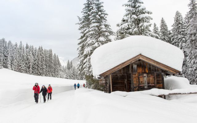 Winterwandelen in Seefeld