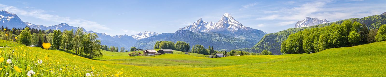 Zomer bergweide oostenrijk